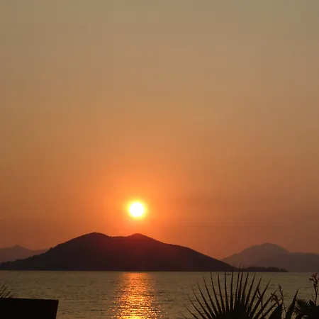 Pelin Fethiye